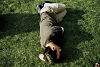 sieste verte