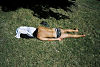 sieste verte