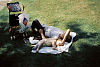 sieste verte