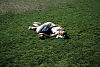 sieste verte