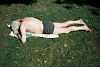 sieste verte